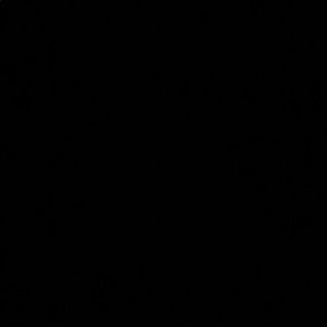 Meet your Posher, Darlene